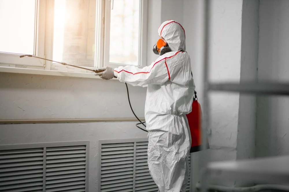 Professional mold remediation services in West Lafayette, IN